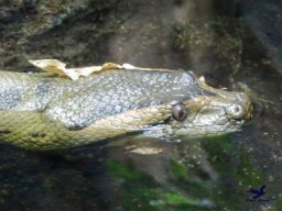 Tiergarten Schönbrunn am 05.03.2026
